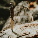 Possession of a Knife Icon | Knife Stuck in a Tree Log
