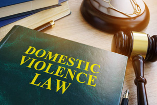 Domestic Violence Law book